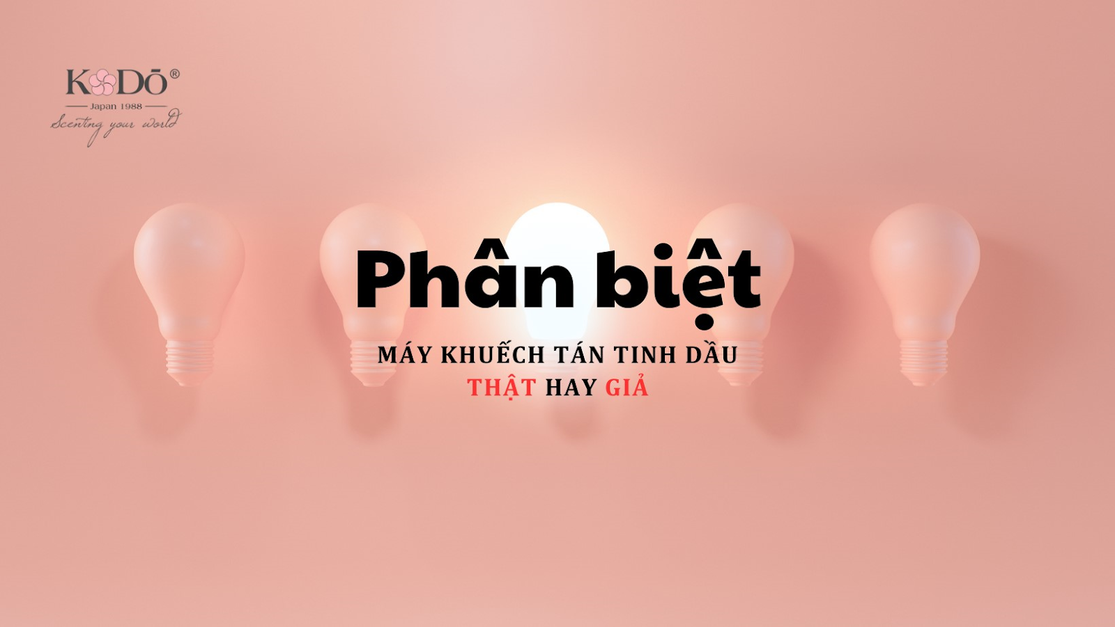 phan-biet-giua-may-khuech-tan-tinh-dau-chinh-hang-va-hang-nhai-1
